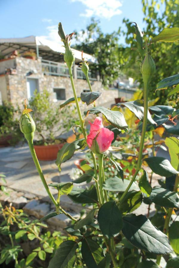 B&B Ca Dei Fre Cenova Dış mekan fotoğraf